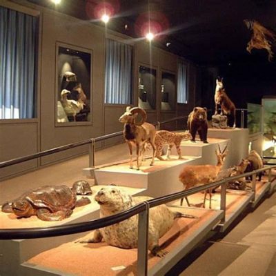  Museo di Storia Naturale di Verona: Muinaisen luonnon ihmeitä ja eläimiä joka ikinen päivä!